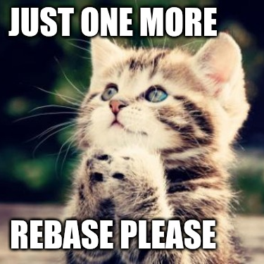 Super cute kitten asking for one more rebase
